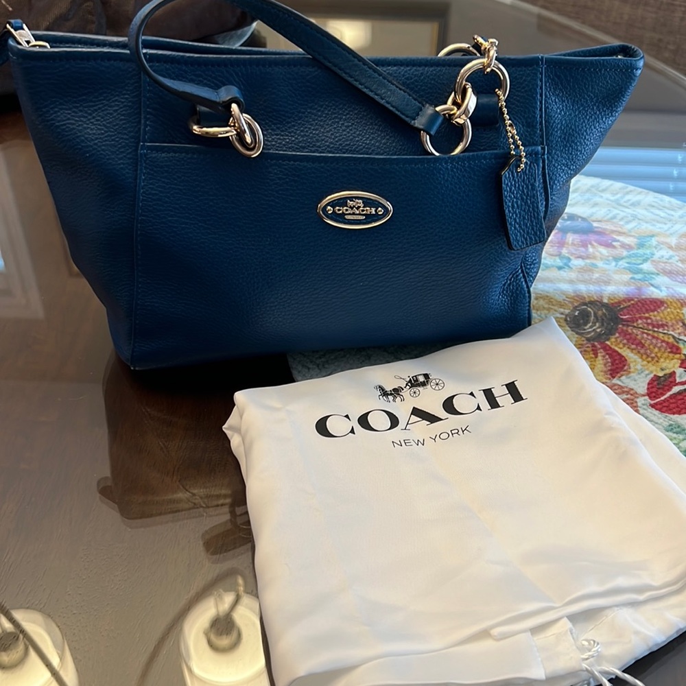 Chicago Ellis mini tote bag